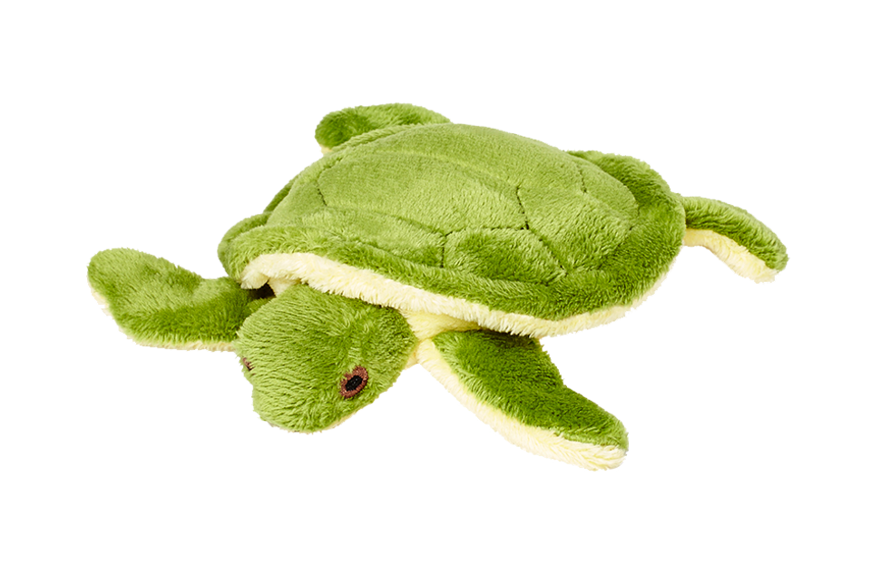 Shelly Turtle