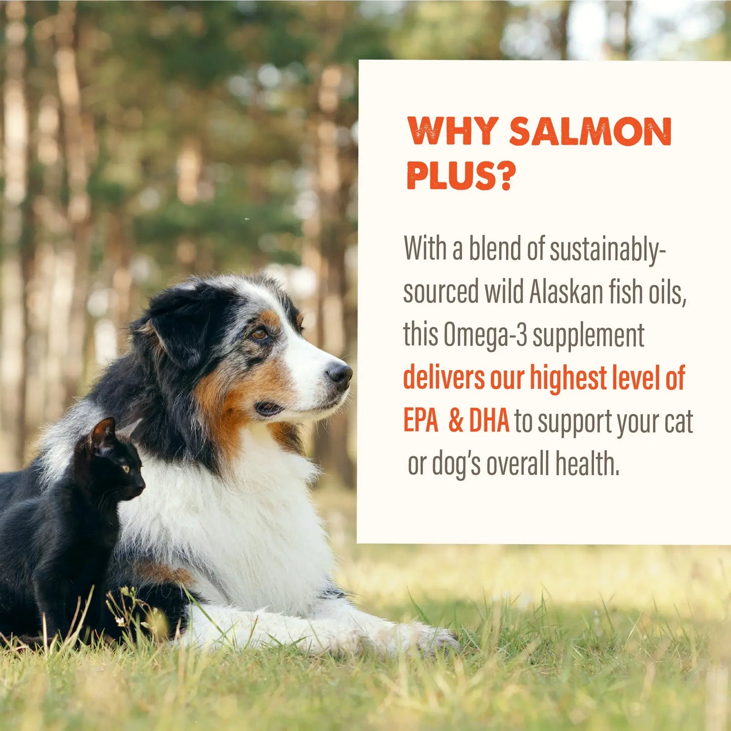 Salmon Oil Plus 16 oz.
