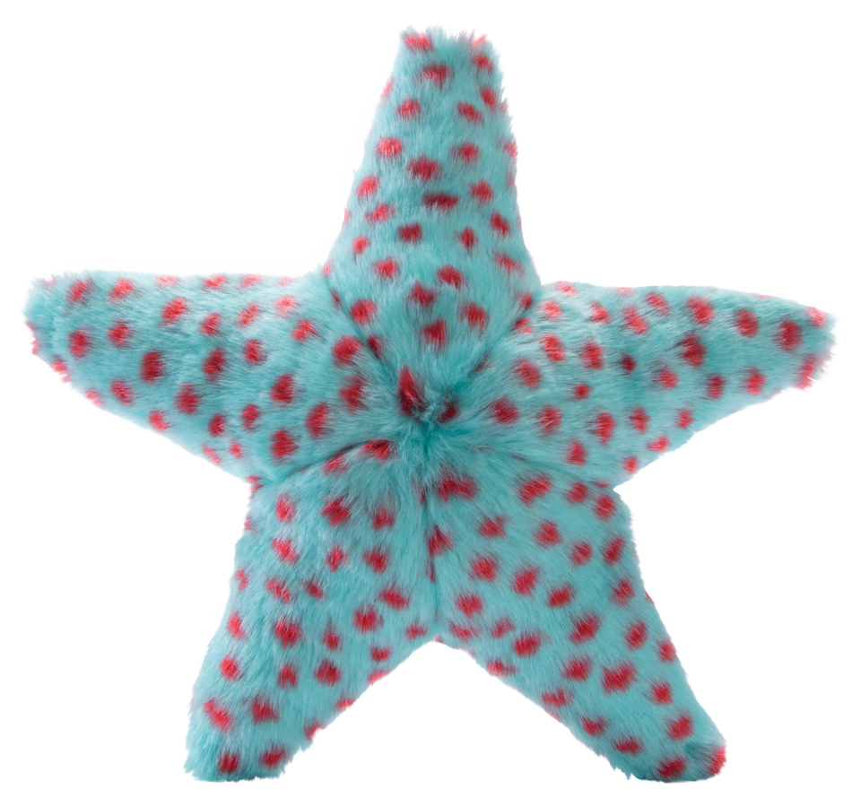 Ally Starfish