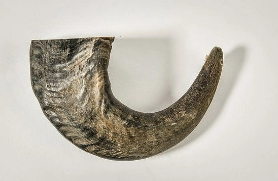 Buffalo Hornz