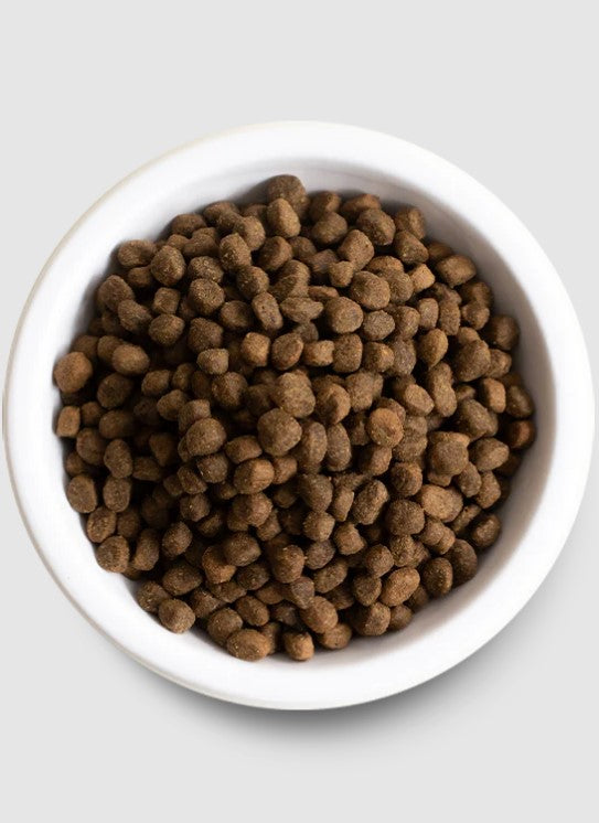 Grain Free Grass-Fed Beef Recipe for Dogs