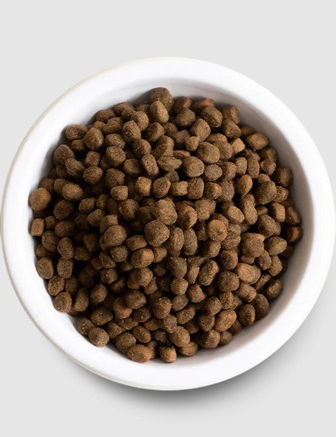 Homestead Turkey & Ancient Grain Recipe for Dogs