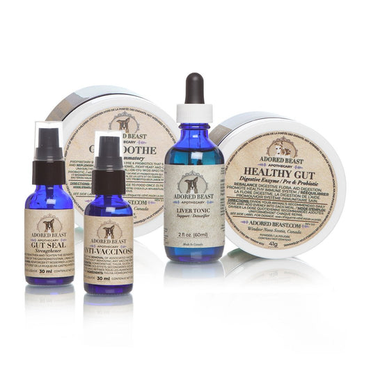 Leaky Gut Protocol Small Dog