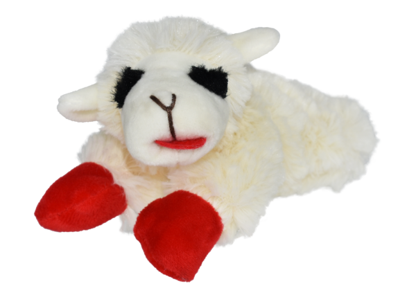 Lambchop 6"