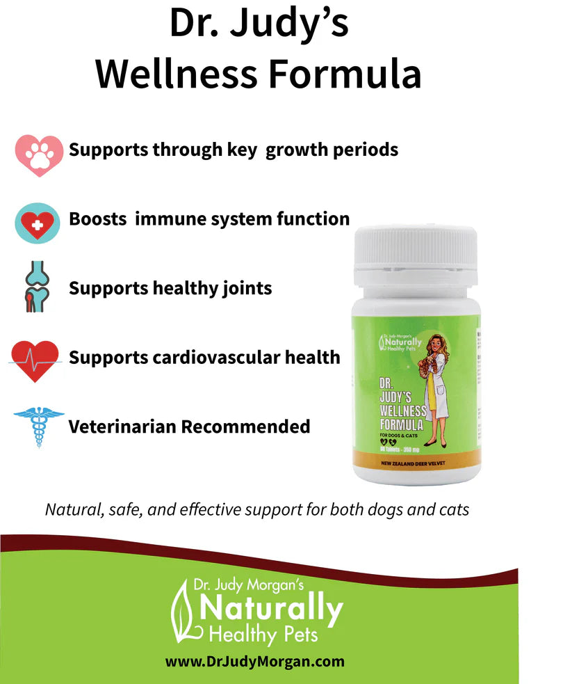 Dr. Judy Morgan's Wellness Formula
