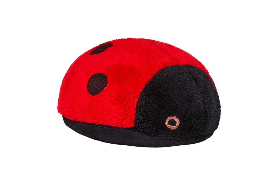 Lady Bug