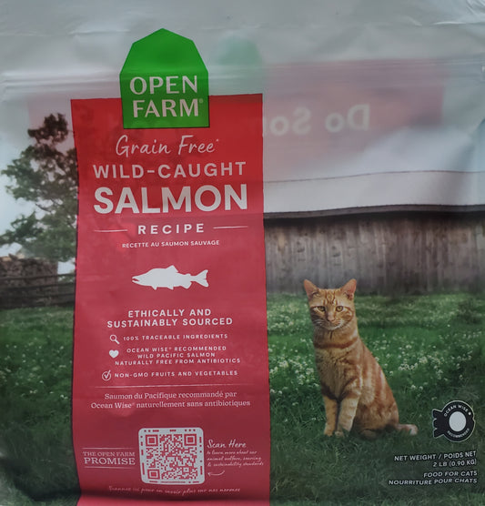 Grain Free Wild-Caught Salmon Recipe for Cats