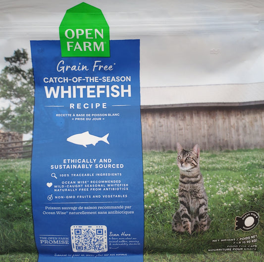 Grain Free Catch-of-the-Season Whitefish Recipe for Cats