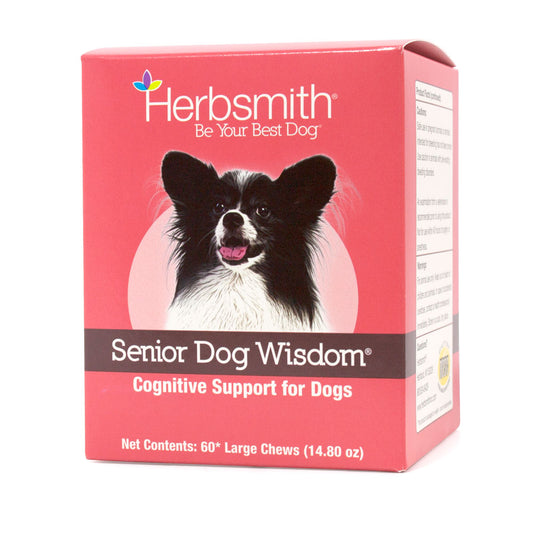 Senior Dog Wisdom: Cognitive Support