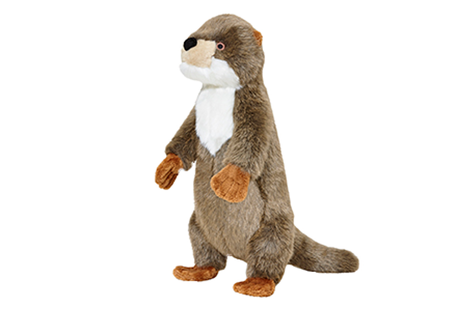 Harry Otter