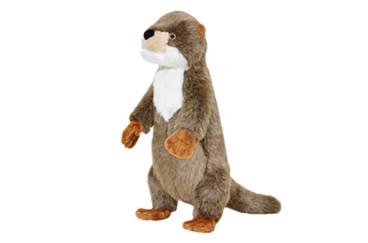 Harry Otter
