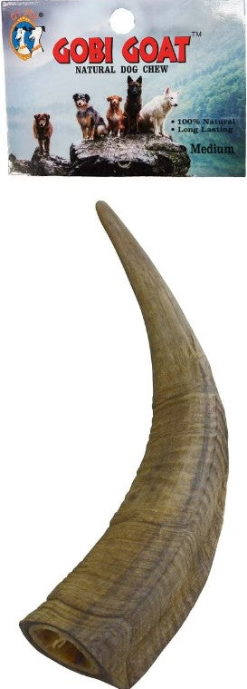 Gobi Goat Horn