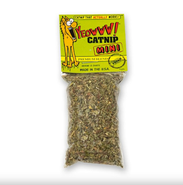 Catnip