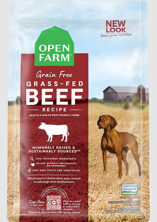 Grain Free Grass-Fed Beef Recipe for Dogs