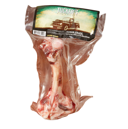 Frozen Bone Lamb